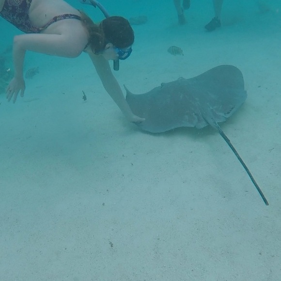 Offers Welcome! - Picture 12 of 12